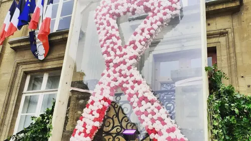 Octobre Rose : un ruban composé de 700 fleurs à Charleville 