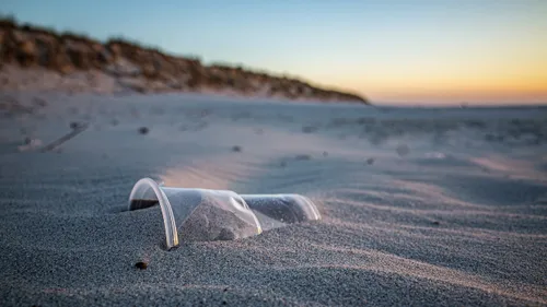 Hauts-de-France : grande opération de ramassage des déchets ce...