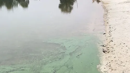 Libourne : des cyanobactéries dans le Lac des Dagueys 