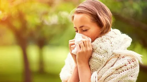 Alerte rouge pour le pollen de bouleau