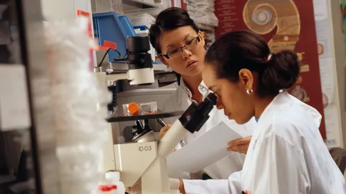 Les femmes scientifiques sortent de l’ombre à Toulouse