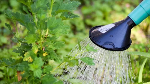 Marne: des restrictions d'eau face à la sécheresse