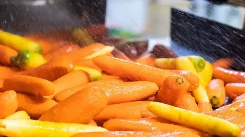La première légumerie de la Marne a été inaugurée 