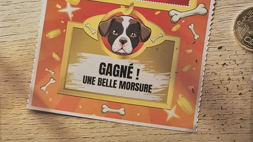 La Poste en campagne contre les morsures ! 