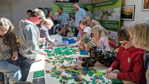  Les étangs du Romelaëre prennent vie en Lego 
