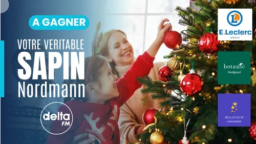 Gagnez votre véritable sapin de Noël