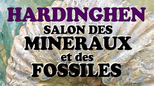 Le Salon des Minéraux et des Fossiles a lieu ce week-end à Hardinghen.
