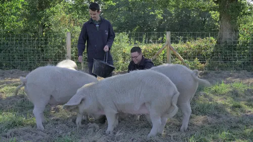 Salon de l'Agriculture. Ces Pouancéens récompensés avec leurs porcs...