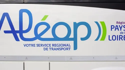 Transport à la demande en Mayenne : on vous explique pourquoi le...