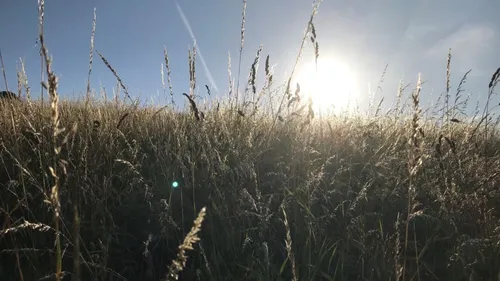 Canicule : plusieurs événements annulés dans le Haut-Anjou et la...