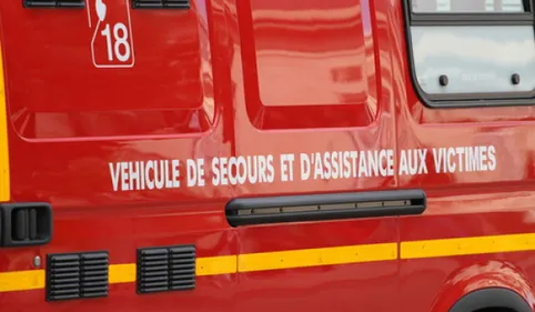 Sallèles-d'Aude : un homme tué par la chute d'un arbre