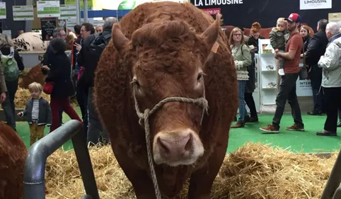 Au salon de l'agriculture, l'Occitanie séduit