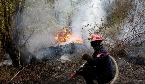 PHOTOS. Huit hectares partent en fumée au sud de Toulouse, les...