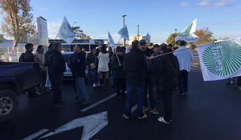 Les agriculteurs en colère ont inspecté le MIN à Toulouse 