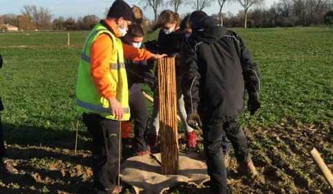 Pierre Fabre : 500 arbres plantés pour améliorer la culture à Soual 