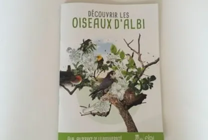 Un guide pour découvrir les oiseaux à Albi.