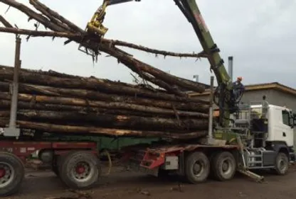 Une centrale bois flambant neuve 