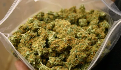 INFO 100% : 54 kg de cannabis saisis par les Douanes au sud de Foix 