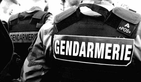 INFO 100% - Muret : 5 individus interpellés par les gendarmes pour...