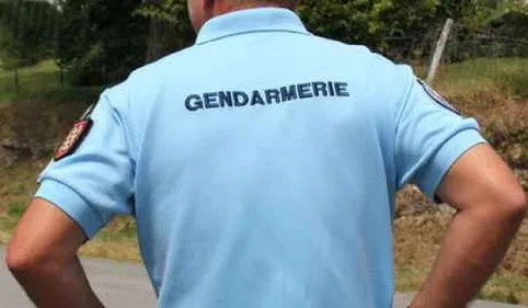 Tentative d'homicide à Auterive : les gendarmes arrêtent 7...