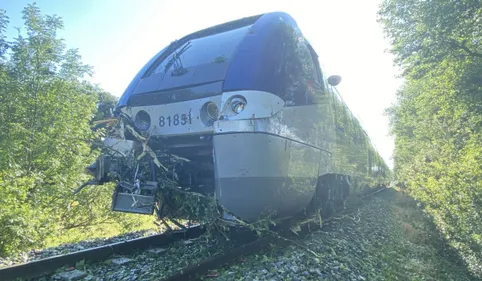 Orages dans le sud du Tarn : un train percute un arbre, les...