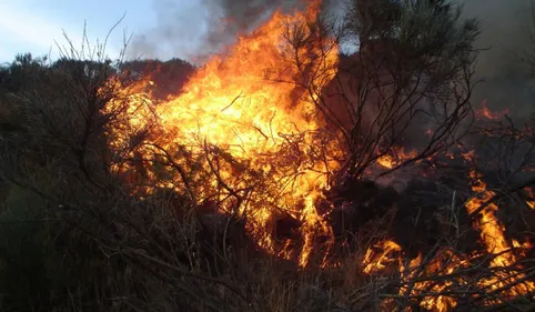 Incendie en cours à Port La Nouvelle