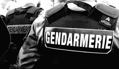 Tarascon-sur-Ariège : gros déploiement de gendarmes pour arrêter un...