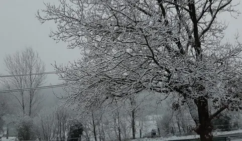 La neige débarque en Occitanie