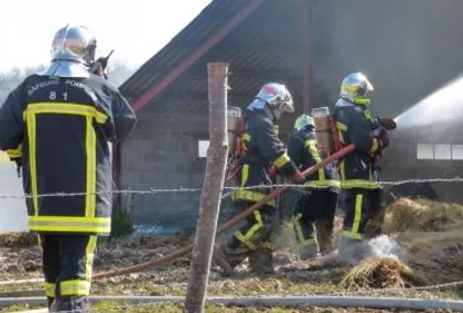 Un bâtiment agricole ravagé par les flammes 