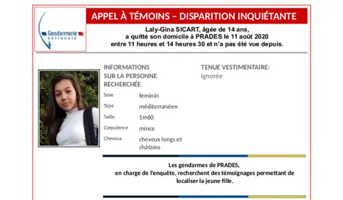 Appel à témoins à Prades après la disparition d'une jeune fille