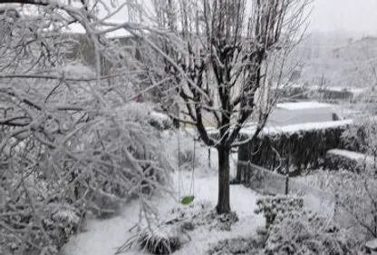 Réveil tout blanc ce matin!