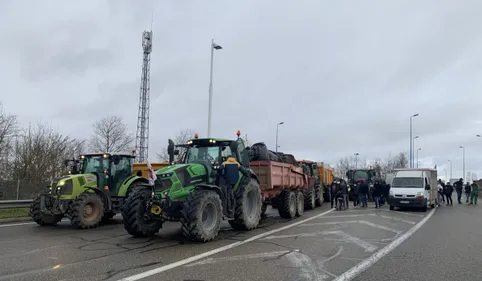 Manifestation des agriculteurs à Montauban :  "On ne sera plus à...
