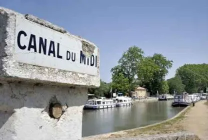 Replantation du canal du Midi : projet en bonne voie