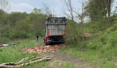 Terrible accident sur la commune du Garric près d'Albi: un mort et...