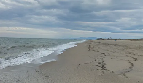 Info 100% : Macabre découverte sur la plage de Torreilles ce matin