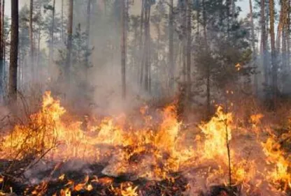 Record sur le front des incendies dans l'Aude