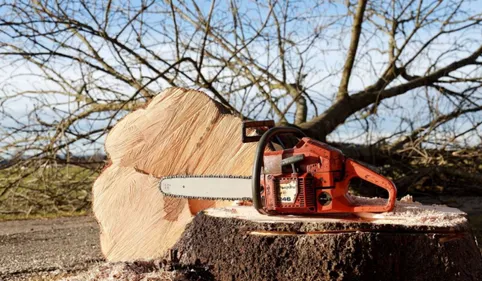 Vol d'arbres en Ariège : l'exploitant forestier espagnol condamné...