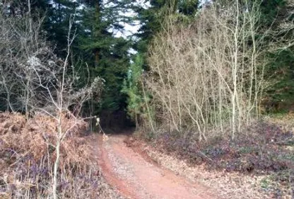 Amandine: des gendarmes mobilisés dans le secteur de Roquecourbe