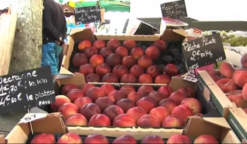 Nouvelle action des agriculteurs catalans