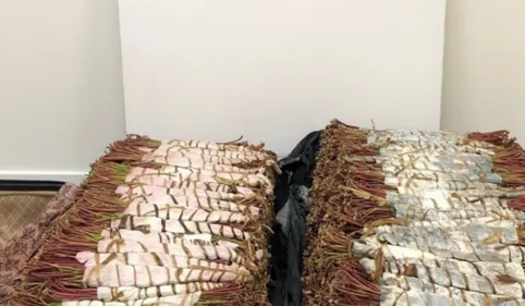 INFO 100% - 50 kg de "khat" saisis : une étrange drogue découverte...