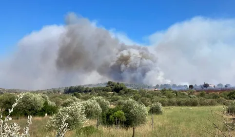 Plusieurs incendies en simultané dans les Pyrénées-Orientales :...