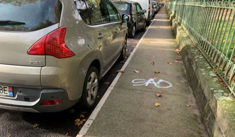 Les anti-SUV de Toulouse : dégonfleurs ou dégonflés ?