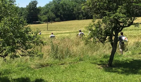 L'ourson ariégeois "Douillous" retrouvé sain et sauf  dans le Tarn ! 