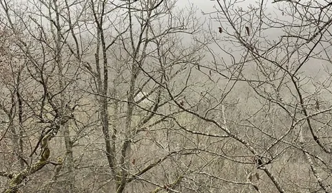 Fouilles à Cagnac-les-Mines : une première zone de recherche...