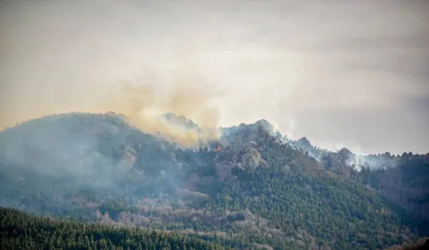 Un incendie ravage 80 hectares de végétation sur les hauteurs de...