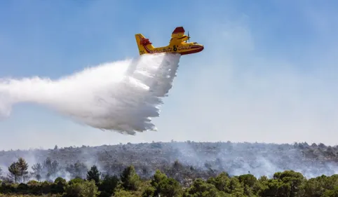 1100 hectares partis en fumée : le dernier bilan de l'incendie...