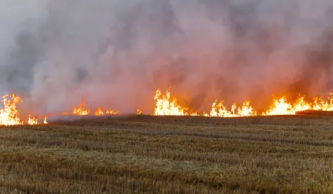 Bizanet : un nouvel incendie détruit 80 hectares.