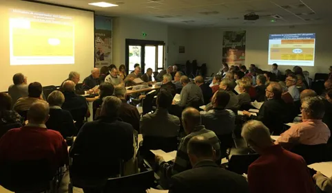 Festival des Lanternes de Gaillac: coup de théâtre à l'agglo