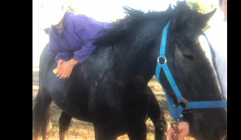 Toreilles : Vanessa cherche son cheval