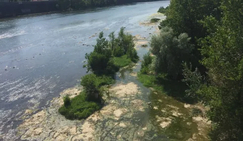 Ils avaient tué un SDF en le jetant d’un pont de Toulouse 